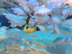 自然体験ジョン万パーク 天然水族感 4人家族