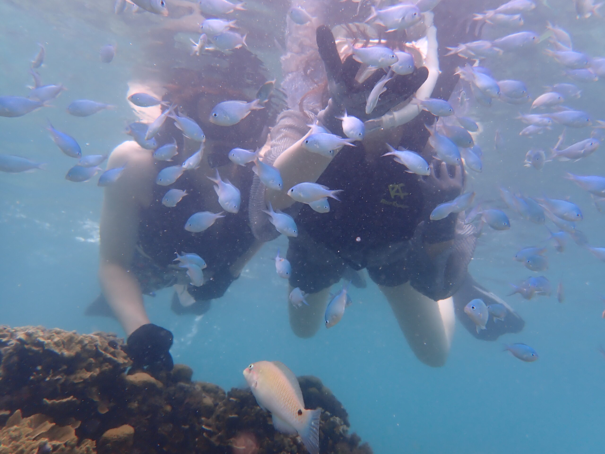 自然体験ジョン万パーク 天然水族感 20代カップル