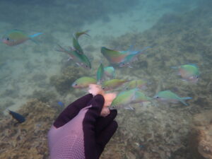自然体験ジョン万パーク 天然水族感 20代カップル