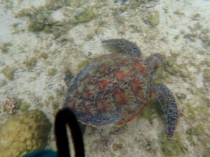 自然体験ジョン万パーク 天然水族感 60代夫婦