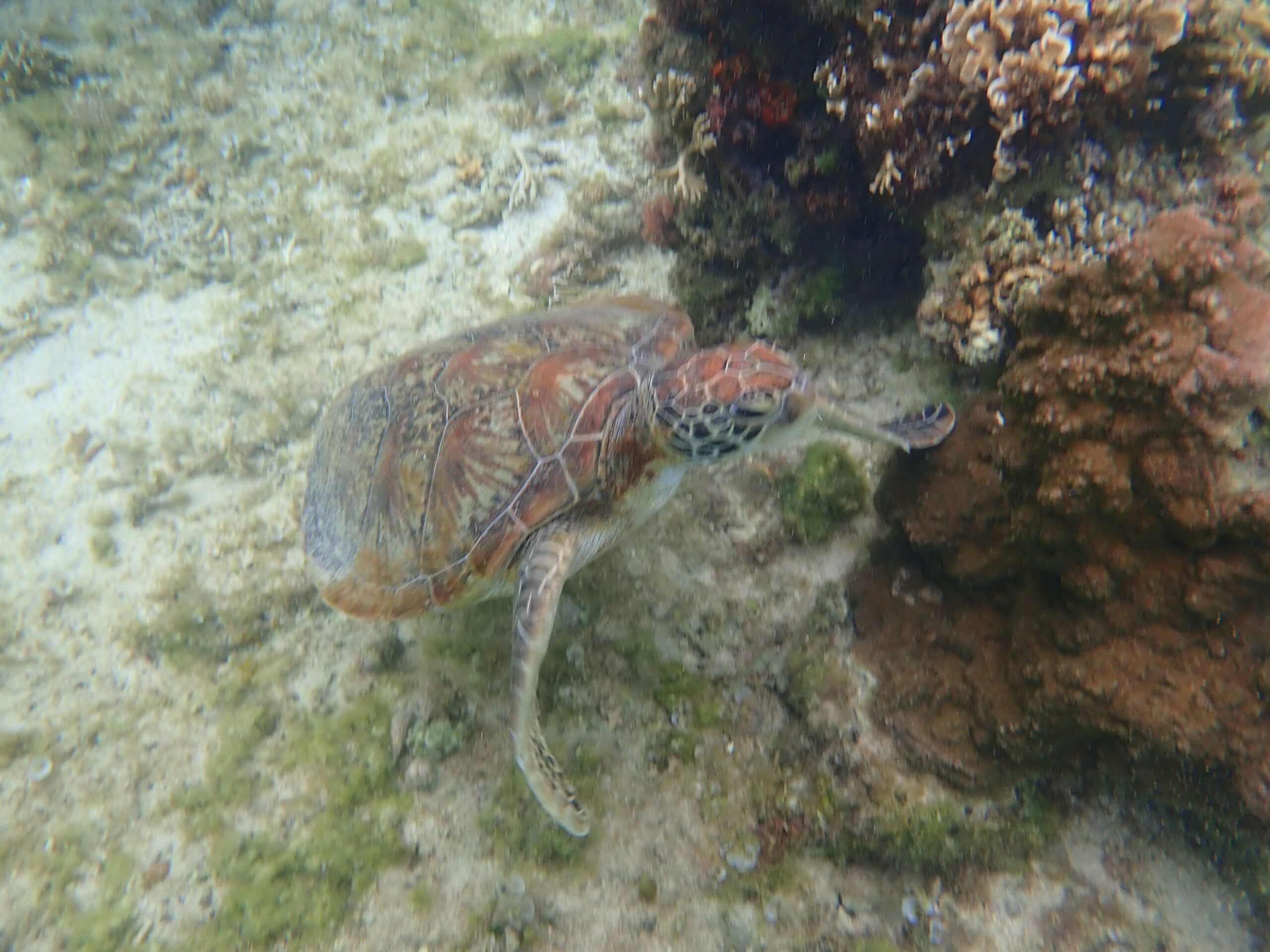 自然体験ジョン万パーク 天然水族感 60代夫婦