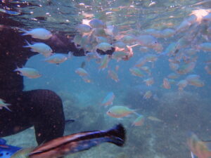 自然体験ジョン万パーク 天然水族感 4人家族