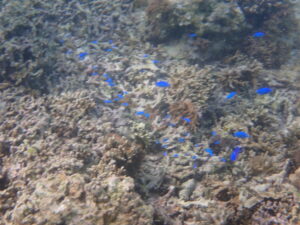 自然体験ジョン万パーク 天然水族感 20代カップル