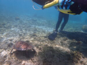 自然体験ジョン万パーク 天然水族感 3歳・6歳女の子
