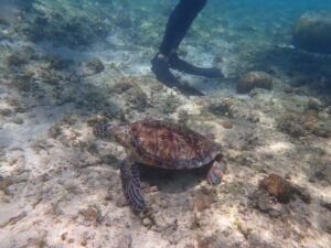 自然体験ジョン万パーク 天然水族感 3歳・6歳女の子