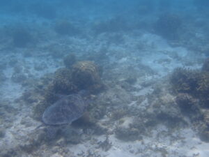 自然体験ジョン万パーク 天然水族感 3世代