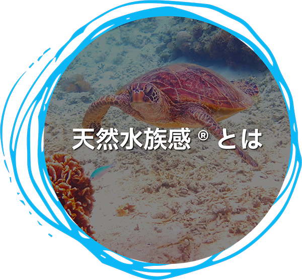 天然水族感®とは