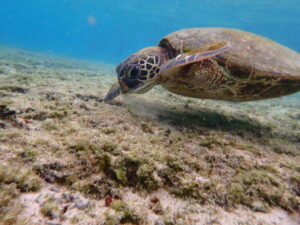 自然体験ジョン万パーク 天然水族感 仲良しご家族様