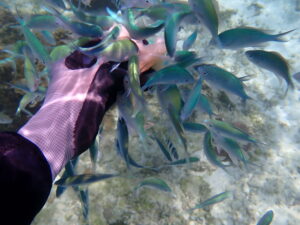 自然体験ジョン万パーク 天然水族感 触れ合い体験
