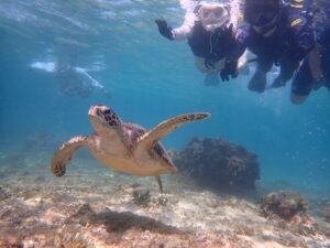 自然体験ジョン万パーク 天然水族感 ウミガメさんと記念撮影