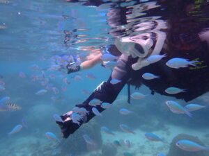 自然体験ジョン万パーク 天然水族感 お魚