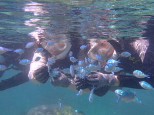 自然体験ジョン万パーク 天然水族感 お魚触れ合い体験