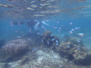 自然体験ジョン万パーク 天然水族感 ツアー風景