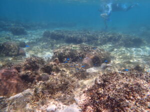 自然体験ジョン万パーク 天然水族感