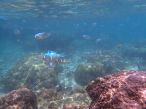 自然体験ジョン万パーク 天然水族感 60代ご夫婦、有名なお方