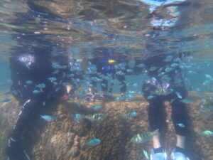 自然体験ジョン万パーク 天然水族感