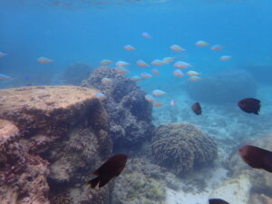 自然体験ジョン万パーク 天然水族感 ツアー風景