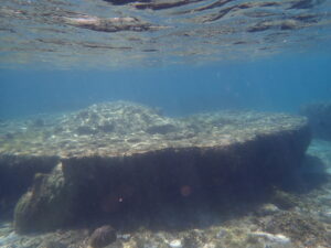 自然体験ジョン万パーク 天然水族感 家族