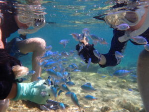 自然体験ジョン万パーク 天然水族感 家族