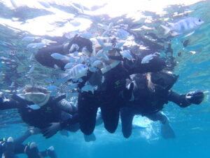 自然体験ジョン万パーク 天然水族感 お魚触れ合い体験