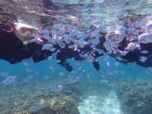 自然体験ジョン万パーク 天然水族感 お魚触れ合い体験