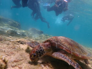 自然体験ジョン万パーク 天然水族感