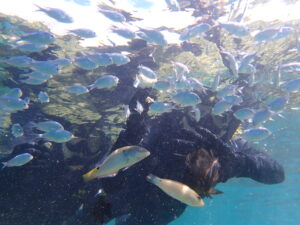 自然体験ジョン万パーク 天然水族感 生物