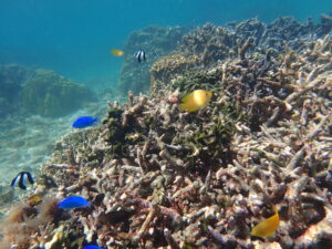 自然体験ジョン万パーク 天然水族感 生物