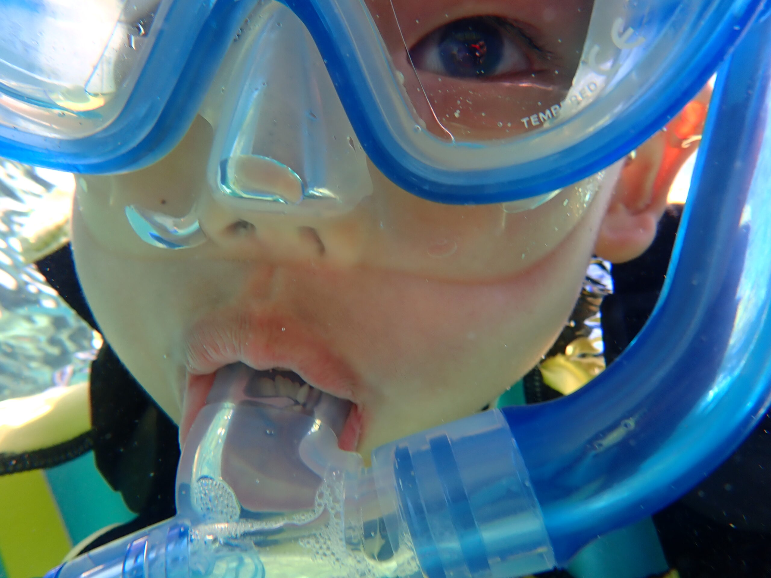 自然体験ジョン万パーク 天然水族感 5名家族