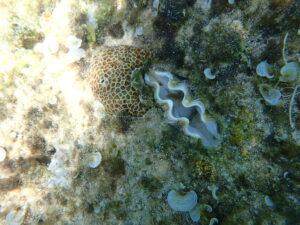 自然体験ジョン万パーク 天然水族感