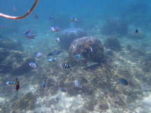 自然体験ジョン万パーク 天然水族感 沖縄旅行