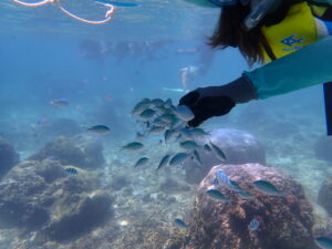 自然体験ジョン万パーク 天然水族感 沖縄旅行