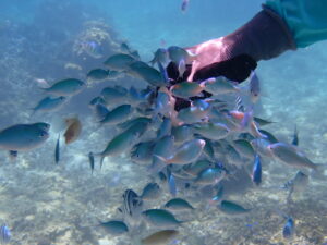 自然体験ジョン万パーク 天然水族感 沖縄旅行