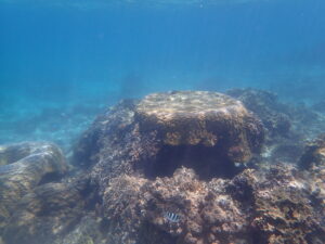 自然体験ジョン万パーク 天然水族感 沖縄旅行