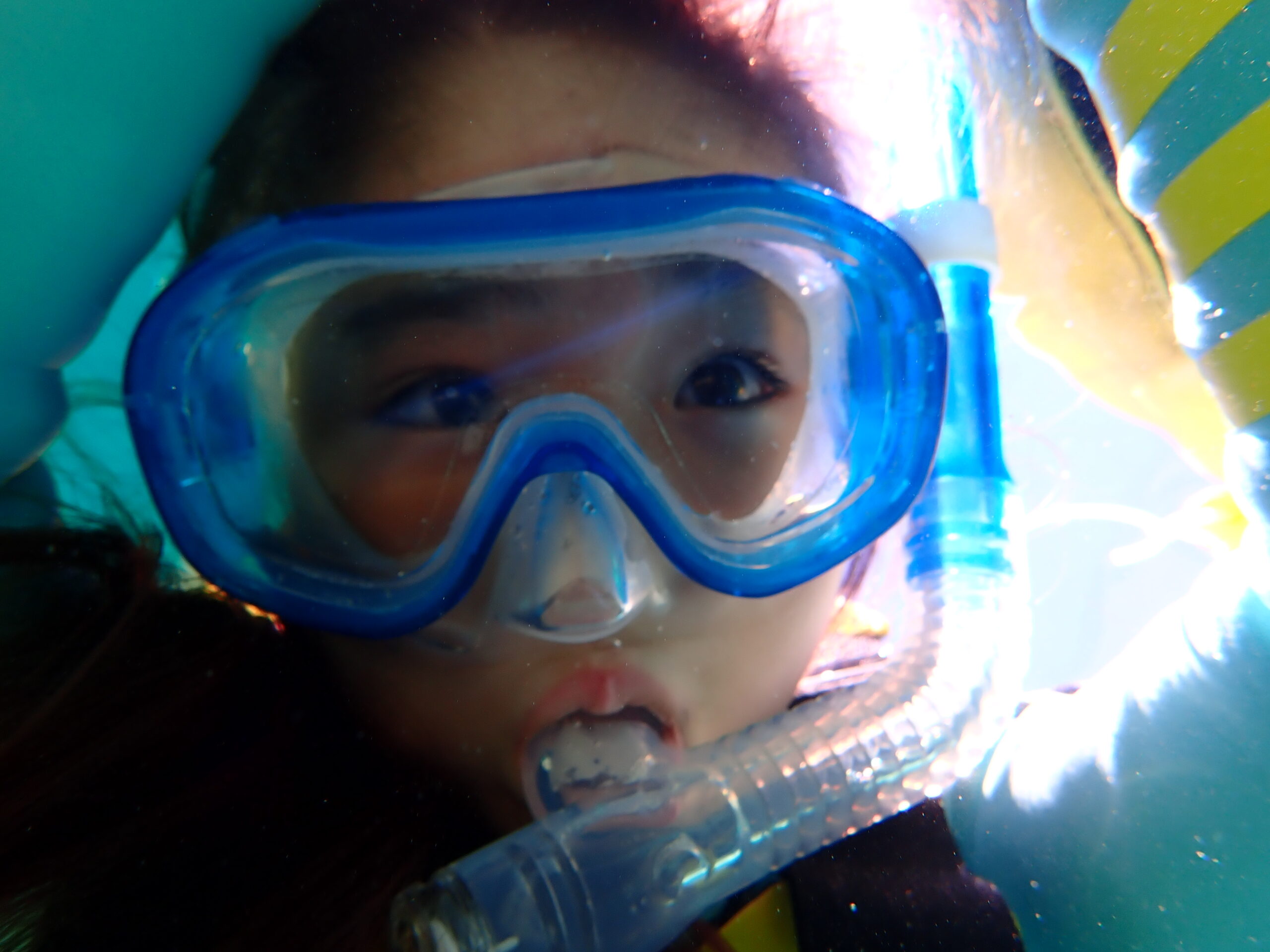 自然体験ジョン万パーク 天然水族感 沖縄旅行
