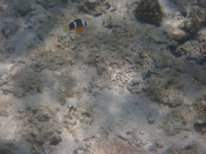 自然体験ジョン万パーク 天然水族感 沖縄旅行