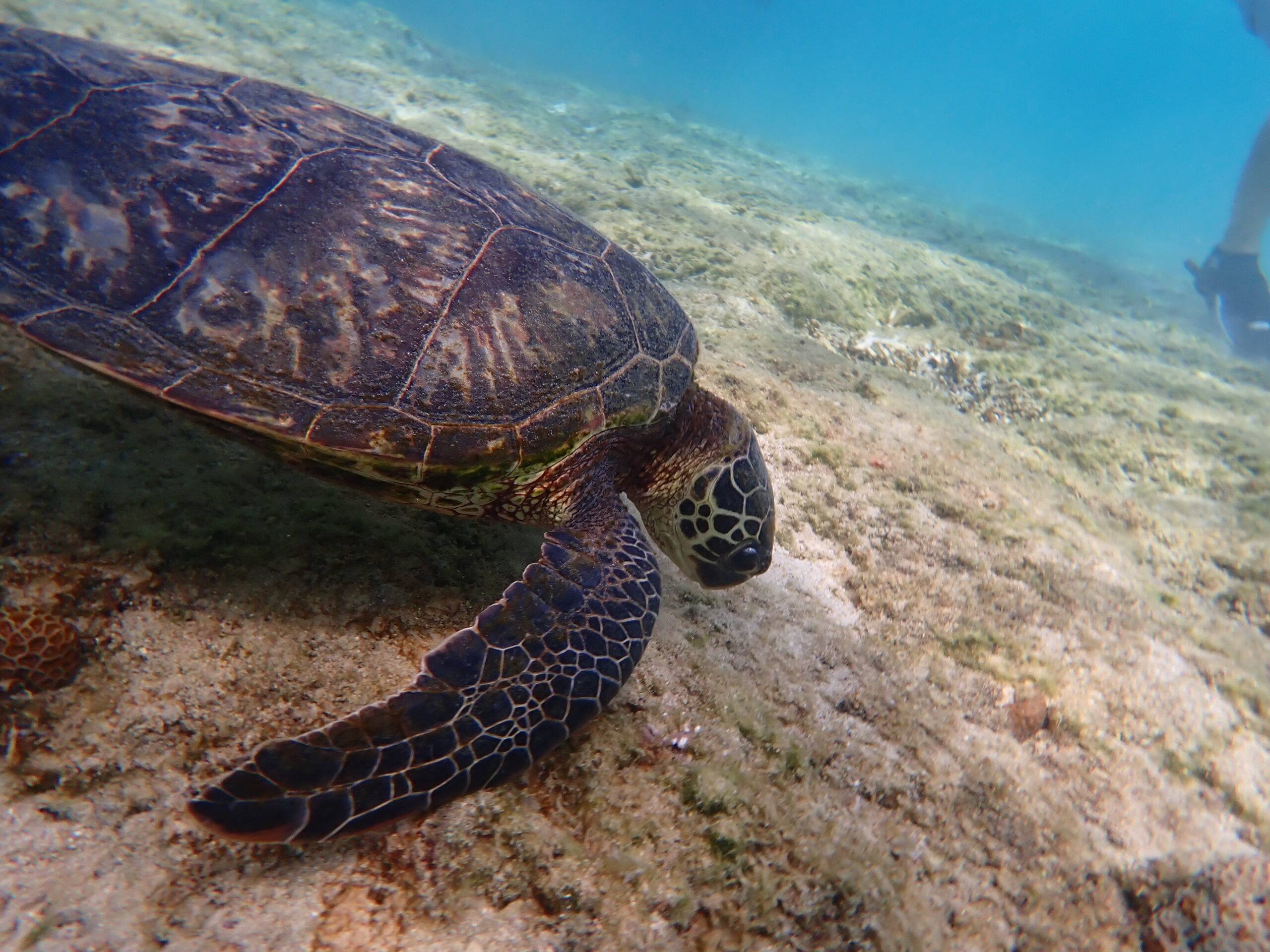 自然体験ジョン万パーク 天然水族感