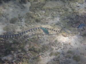 自然体験ジョン万パーク 天然水族感 家族旅行