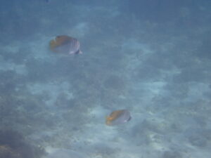 自然体験ジョン万パーク 天然水族感 ツアー風景