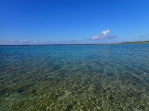自然体験ジョン万パーク 天然水族感 ツアー風景
