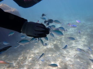 自然体験ジョン万パーク 天然水族感 ツアー風景