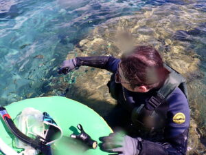自然体験ジョン万パーク 天然水族感 ツアー風景