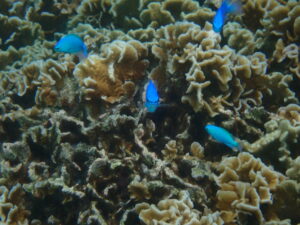 自然体験ジョン万パーク 天然水族感 ツアー風景