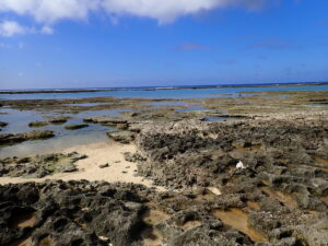 自然体験ジョン万パーク 天然水族感 ツアー風景