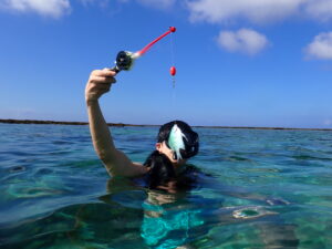 自然体験ジョン万パーク 天然水族感 フィッシングプラン