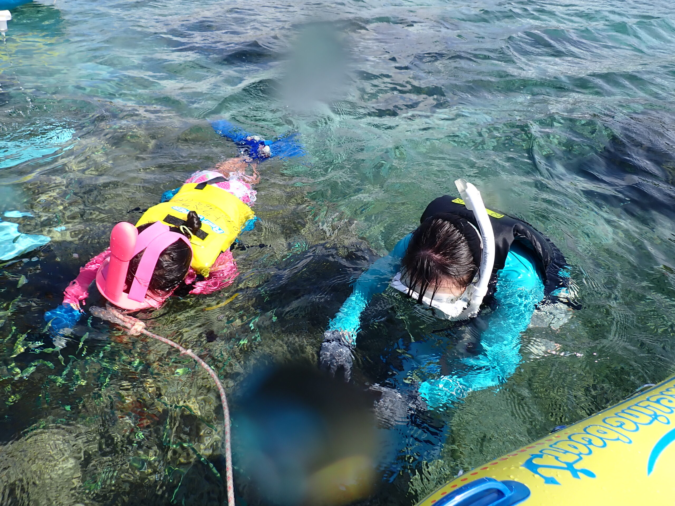 自然体験ジョン万パーク 天然水族感 ファミリー 2歳・4歳