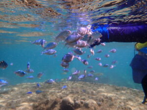 自然体験ジョン万パーク 天然水族感 ファミリー 2歳・4歳