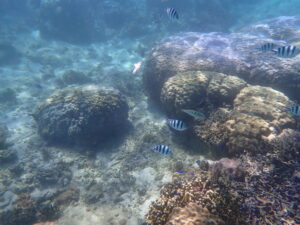 自然体験ジョン万パーク 天然水族感 5歳・7歳