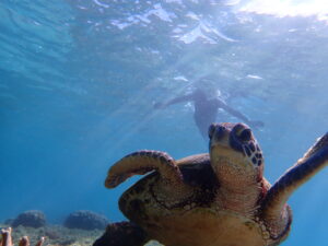 自然体験ジョン万パーク 天然水族感 1人参加