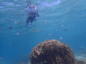 自然体験ジョン万パーク 天然水族感 1人参加
